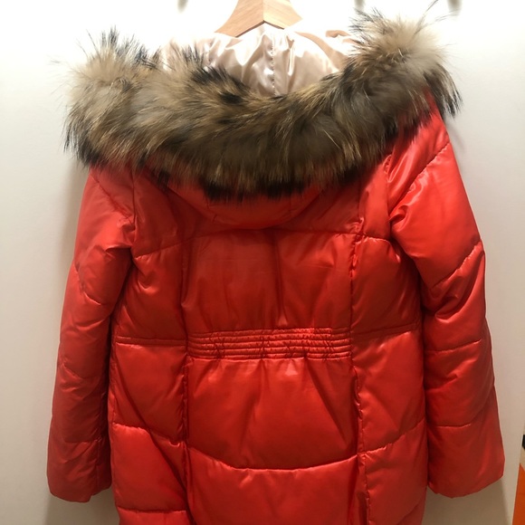 Big Raccoon Down Padding Jacket - Picture 3 of 6